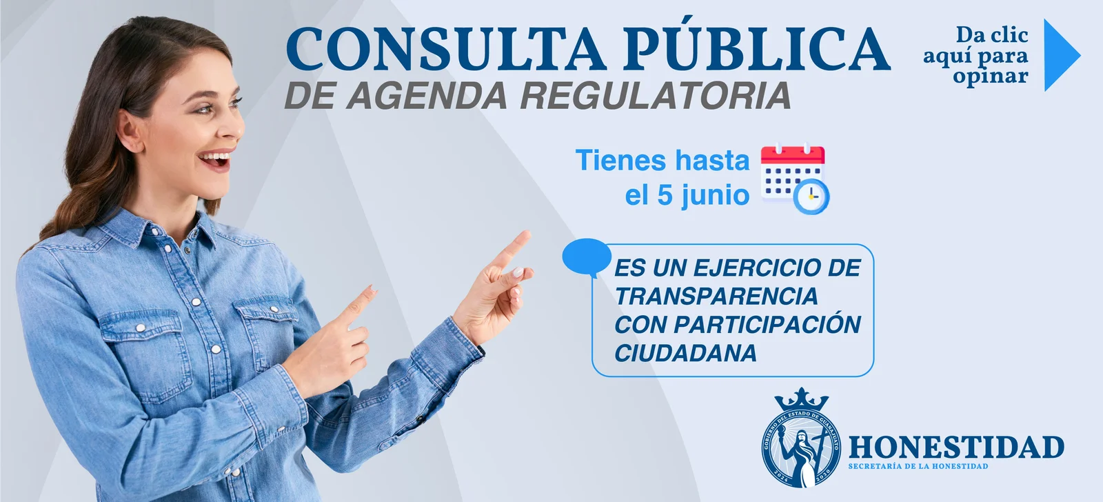 CONSULTA PUBLICA